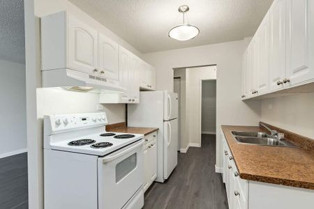 Renovated Suite - 3 Bedroom - Photo 3
