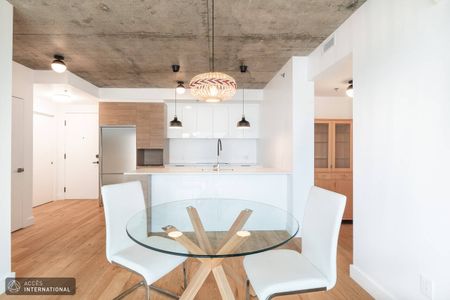 Apartment for rent in the Mile-Ex neighborhood - industrial look - Photo 5