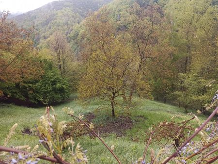 Appartamento in villa a monasterolo - Foto 5