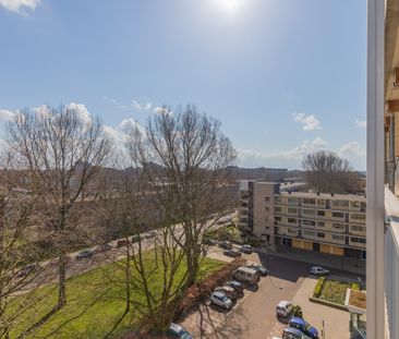 Engelandlaan 818 - Photo 4