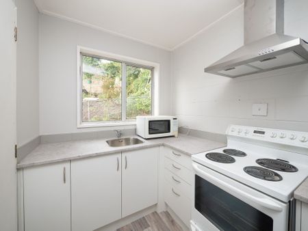 Newly Renovated 2 Bed, 1 Bath Unit - Photo 2