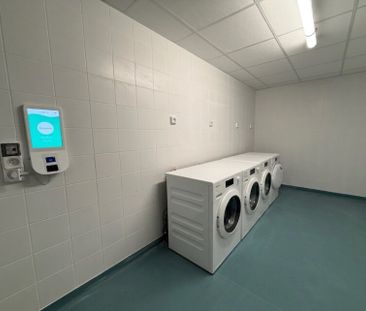 Location Appartement 1 pièce 25m² FRANQUEVILLE ST PIERRE 76520 - Photo 6