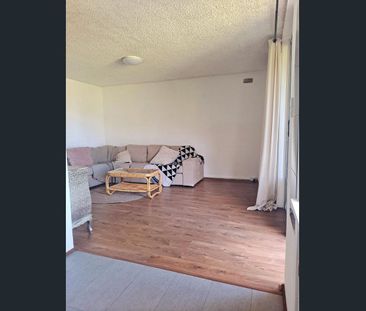 23/19 BLACKWOOD AVENUE, HAMILTON HILL - $550 pw - Photo 2