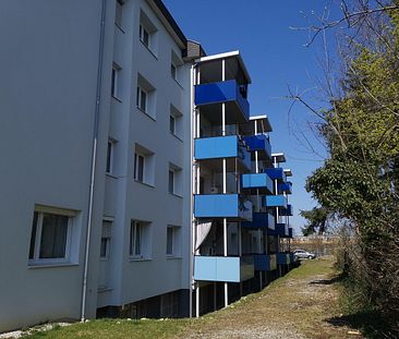 Kleinstwohnung mit eigenem Schlafzimmer zu vermieten (nur mit Hauptwohnsitz zu bewohnen) - Photo 1