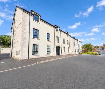 44 Sir Richard Wallace Walk, Lisburn, BT28 3RW - Photo 6