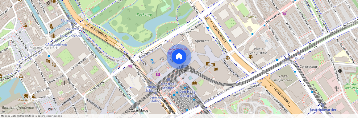 Den Haag, Anna van Buerenplein