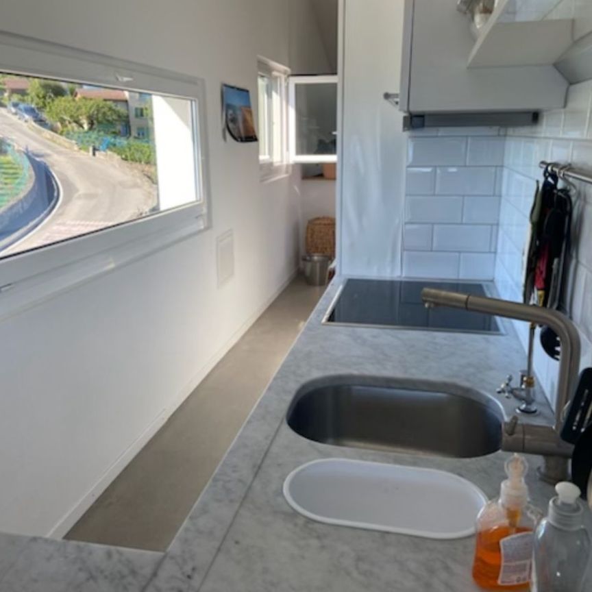 Splendid luxury apartment in Grandvaux with lake view - Foto 1