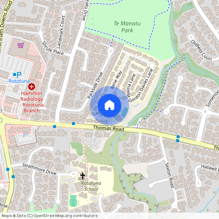 3 Gordon Davies Lane, Huntington, Hamilton