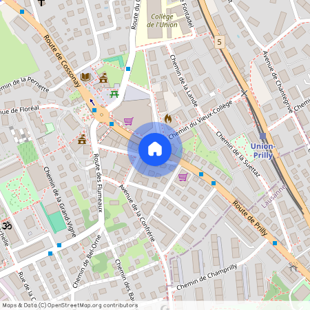 Rte de Cossonay 11, 1008 Prilly