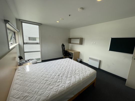 7 Bedrooms in Mt Cook! - Photo 1