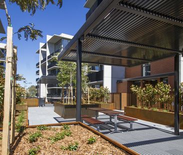 Only At Linq - Photo 4