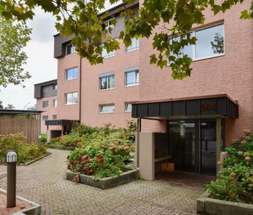 2.5 Zimmer, 47 m², 1. Stock - Photo 5