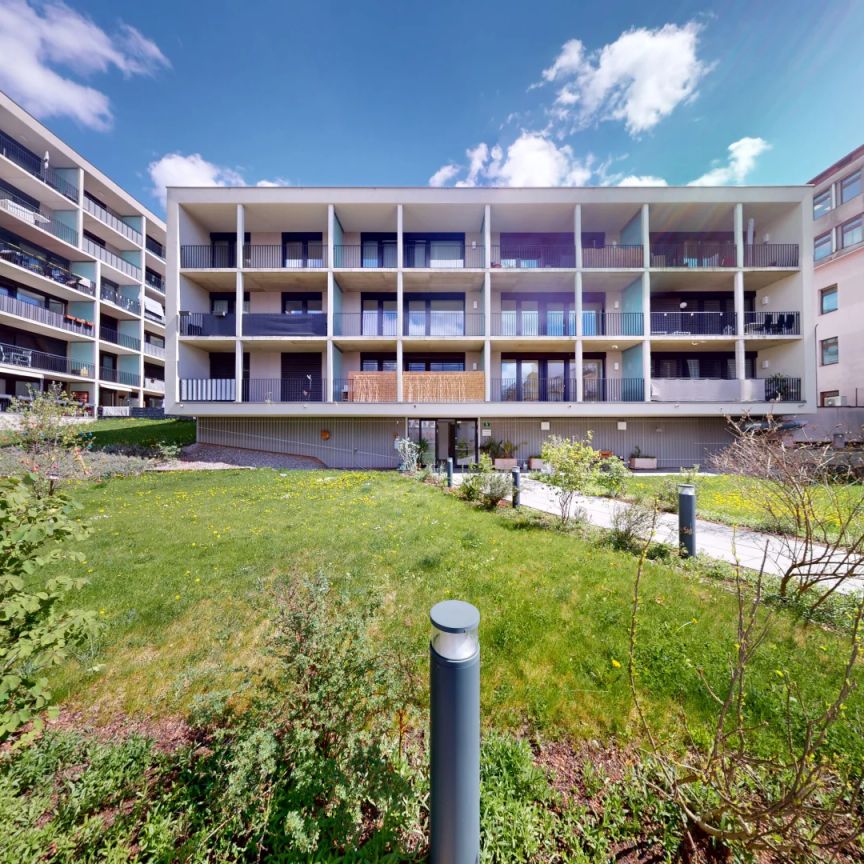 Idyllisches Stadtleben - Moderne Neubauwohnungen in Bestlage - Foto 1