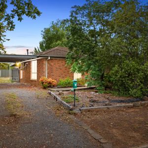 Freshly Painted Family Home with Brand New Carpet & Spacious Backyard - Photo 3