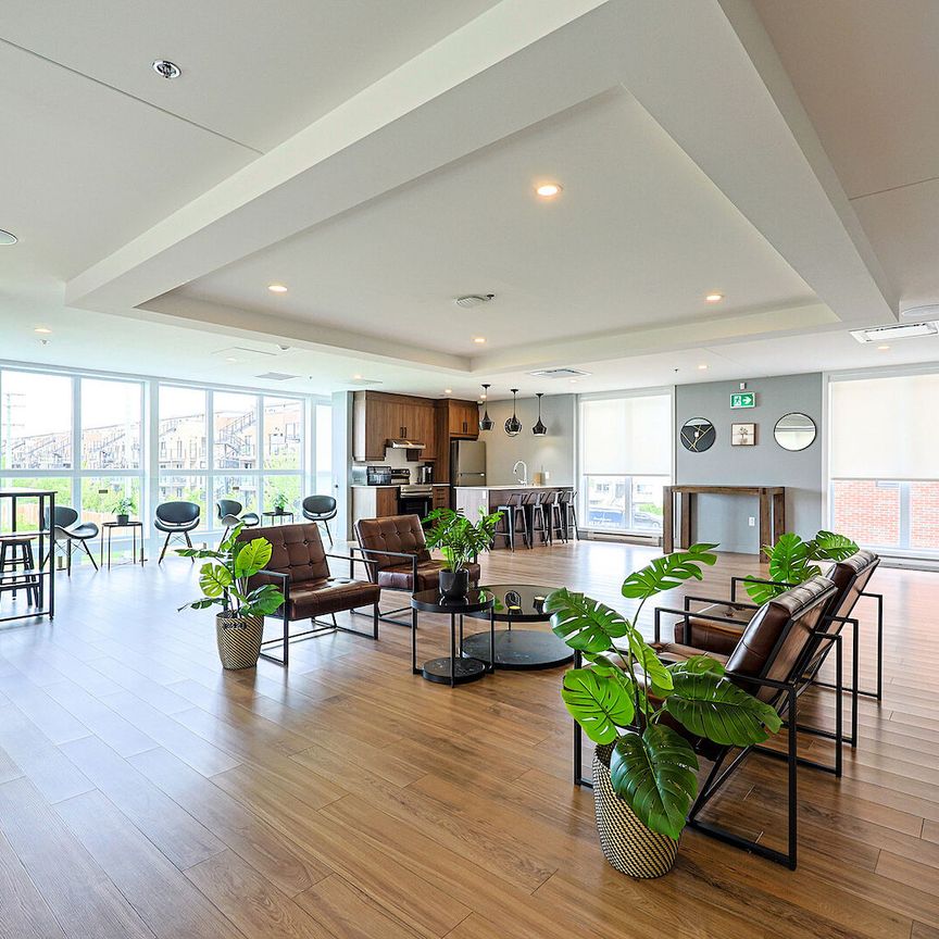 Complexe Celeste - Photo 1