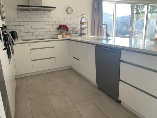 Executive, Pet Friendly Home - Photo 1