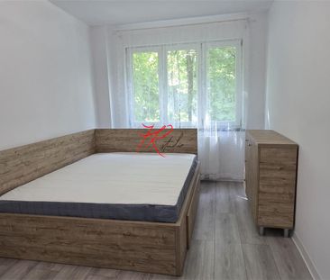 Inchiriere apartament 2 camere Teiul Doamnei - Photo 2