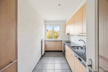 "Nature and city combined - living near Egelsee!" - Photo 4