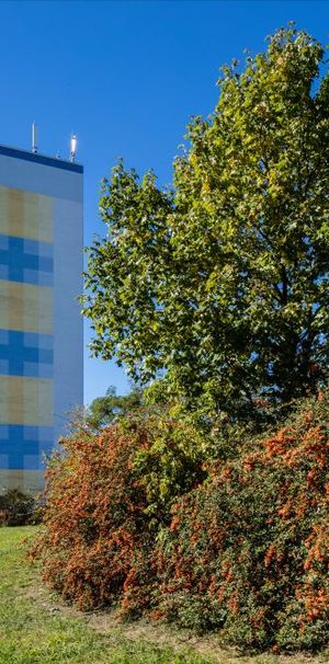 Ihr neues zu Hause im altersfreundlichen „Buchhochhaus“ - Photo 1