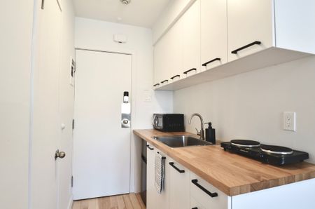 Condo à louer, Montréal (Le Plateau-Mont-Royal) - Photo 5