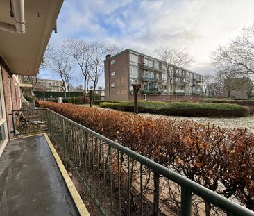 Schoonegge - Photo 6