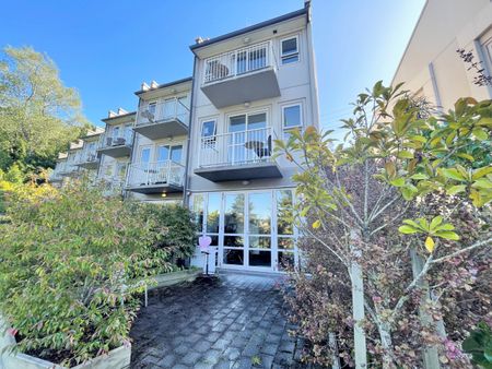 Unit 6D, 73 Buccleugh Street, North East Valley, Dunedin - Photo 4
