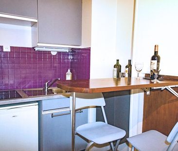 Location Appartement 1 pièce 21m² GRENOBLE 38000 - Photo 3