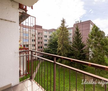 Pronájem bytu 3+1 72 m² - Photo 2