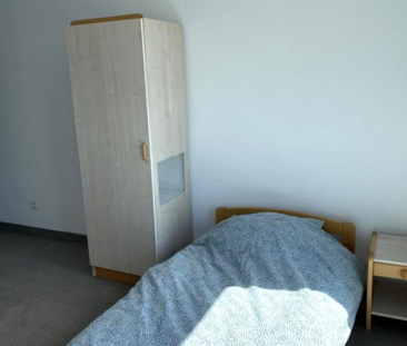 Location Appartement 1 pièce 19m² ANNONAY 07100 - Photo 6