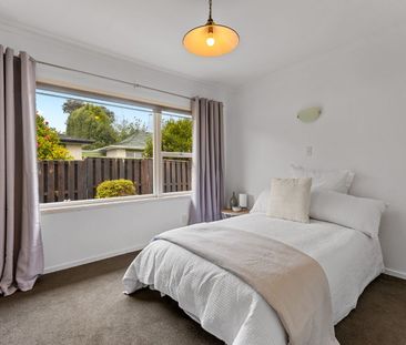 Single-Level Milford Gem - Photo 6