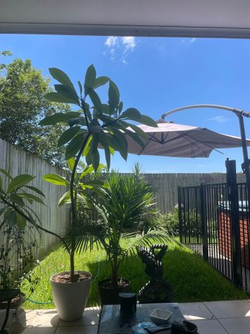 Nundah - Photo 5