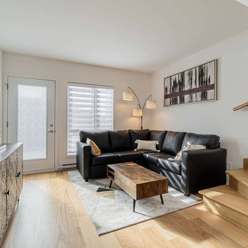 Beautiful and brand-new apartement in Hochelaga-Maisonneuve - Photo 1