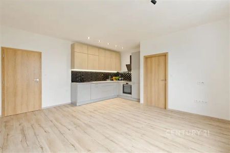 Pronájem moderního bytu 3+kk po kompletní rekonstrukci v klidné části Ostravy - Photo 2