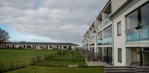 Afd. 6 - Løgstør Boligforening - Photo 2