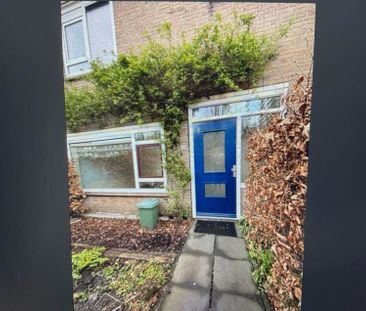 Westelijk Halfrond 34 - Photo 4