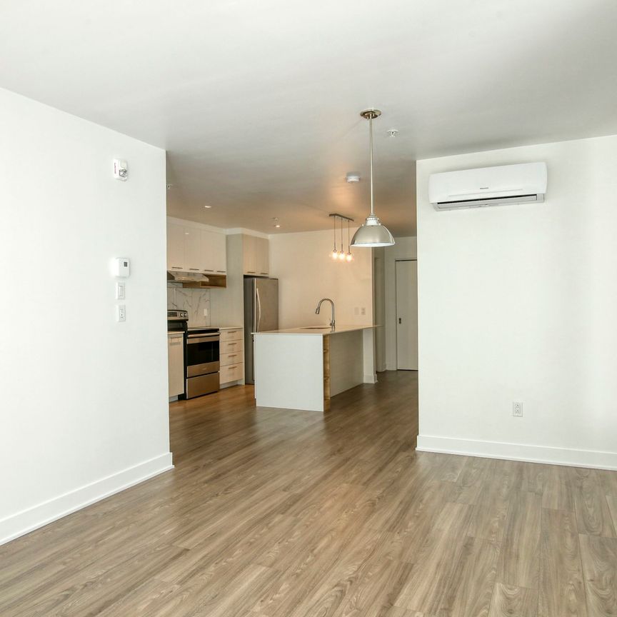 9675 Av. Papineau - Photo 1