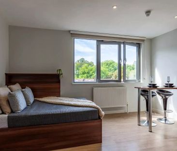 Deluxe Studio - Photo 5