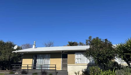Freshly Renovated Family Home in Sunny Flaxmere! - Photo 5