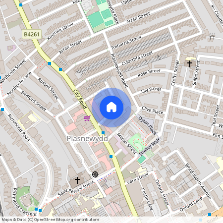 Talworth Street, CF24 3EH, Roath