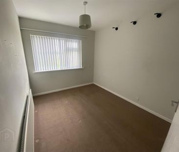 227 Tandragee Road, Portadown, BT62 3RA - Photo 6