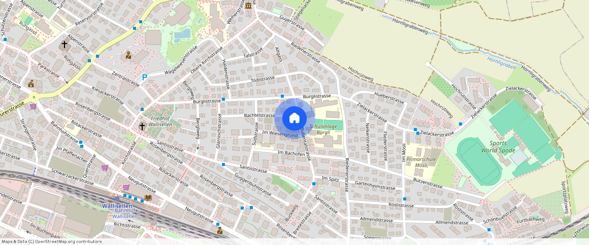 Bubentalstrasse **, 8304 Wallisellen