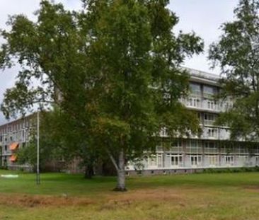 Jan Nieuwenhuyzenstraat 0ong 4818 RK Breda - Photo 2