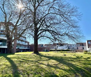 Appartement te huur in Ronse voor € 695 met 1 slaapkamer - Foto 5