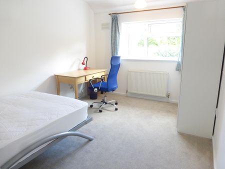 North Park Avenue, Norwich - Photo 5