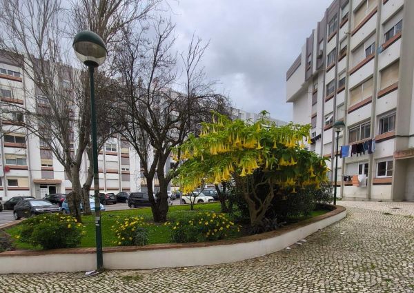 Apartamento T0 em Oeiras Miraflores