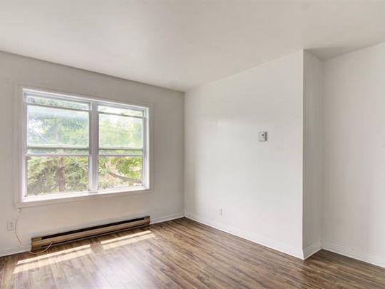 3227 Av. Hector - Photo 1