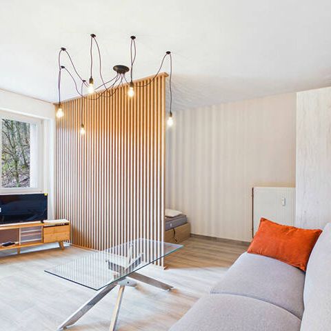 A LOUER STUDIO MEUBLE ENTIEREMENT REFAIT A NEUF ! AVEC BALCON ET ASCENSEUR - Photo 1