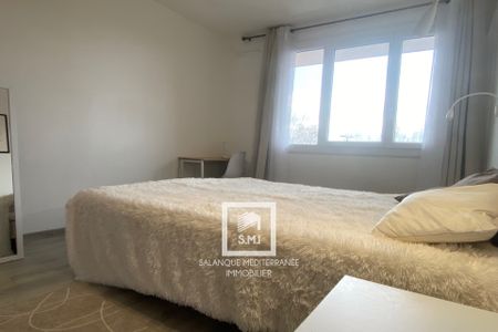 Location Appartement 2 pièces 35m² PERPIGNAN 66000 - Photo 3