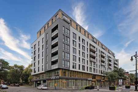 Condo for rent, Montréal (Ville-Marie) - Photo 2