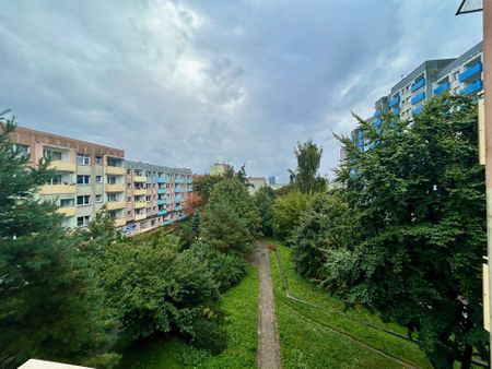 (Symbol 435436) MIESZKANIE na WYNAJEMSzczecin, Książąt Pomorskich Niski budynek * winda * umeblowane * balkon - Фото 5